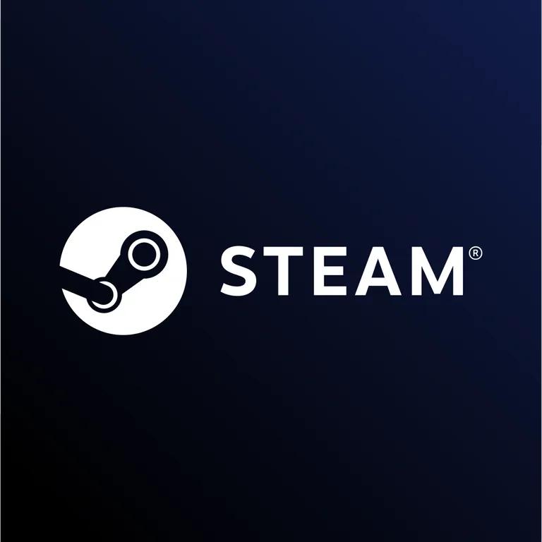 Steam Wallet 10 USD (GB)